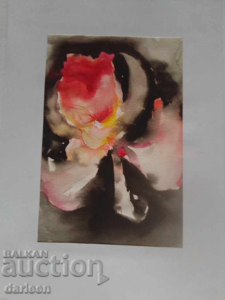 Μοναχικό χρώμα, P. Stoeva με τιμή 20.00 BGN | € 10.23