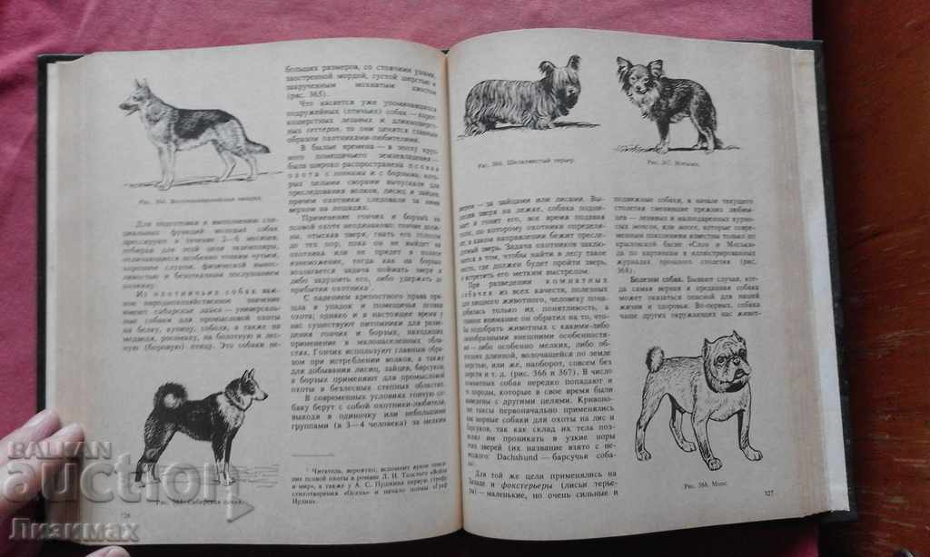 PROMOTION! - Zoology for teachers - AA Yakhontov - 5