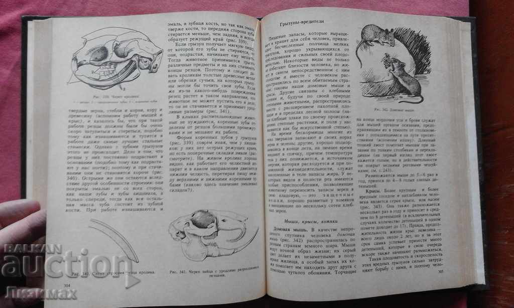 PROMOTION! - Zoology for teachers - AA Yakhontov - 7