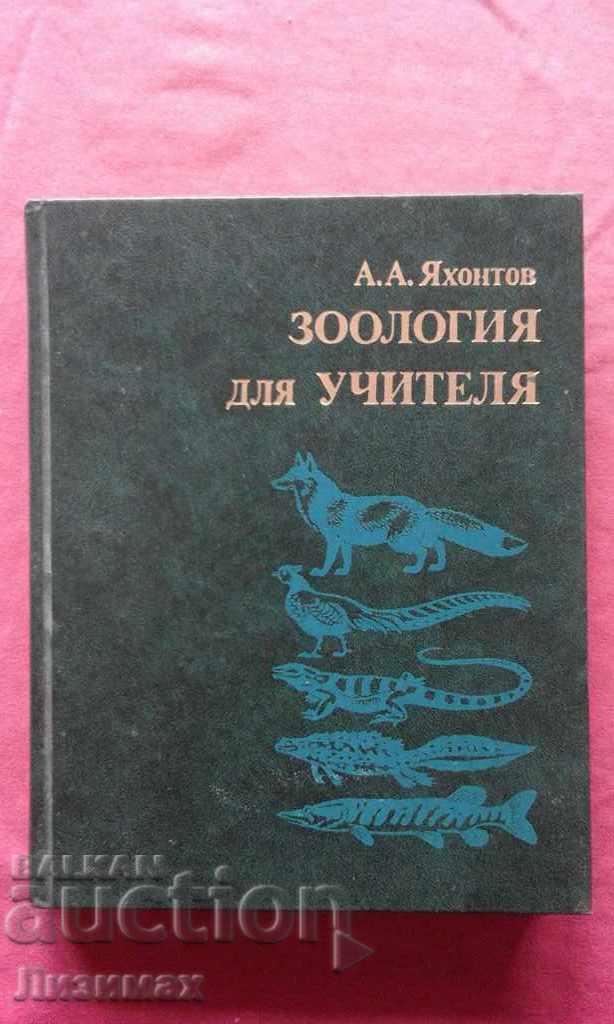 PROMOTION! - Zoology for teachers - AA Yakhontov