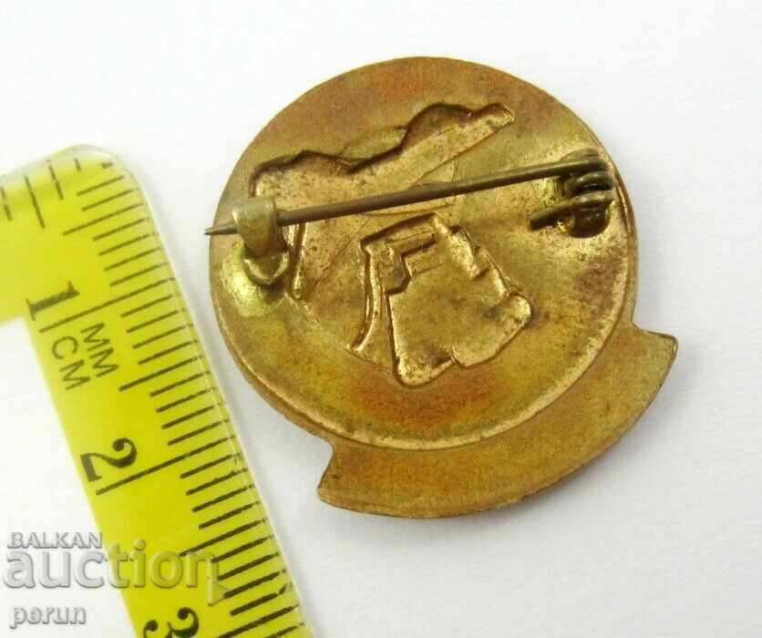 OLD BADGE-EMAIL-CZECHOSLOVAKIA-YOUNG TECHNICIAN-BRONZE with price 9.00 BGN | € 4.60 OLD BADGE-EMAIL-CZECHOSLOVAKIA-YOUNG TECHNICIAN-BRONZE with price 9.00 BGN | € 4.60