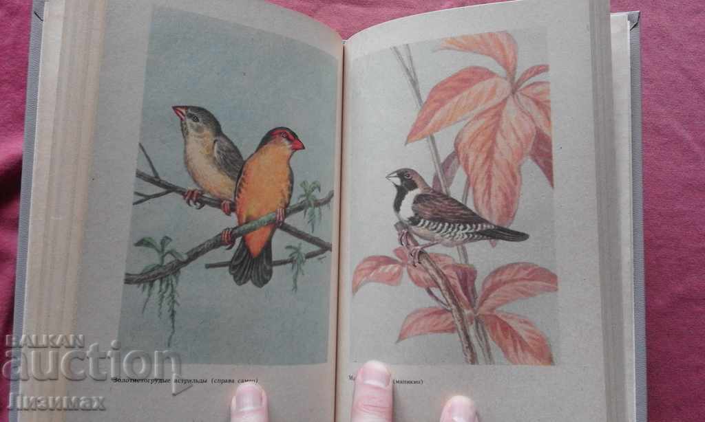 The feathered rainbow is Eduard Sergeevich Zherdev - 5 The feathered rainbow is Eduard Sergeevich Zherdev - 5