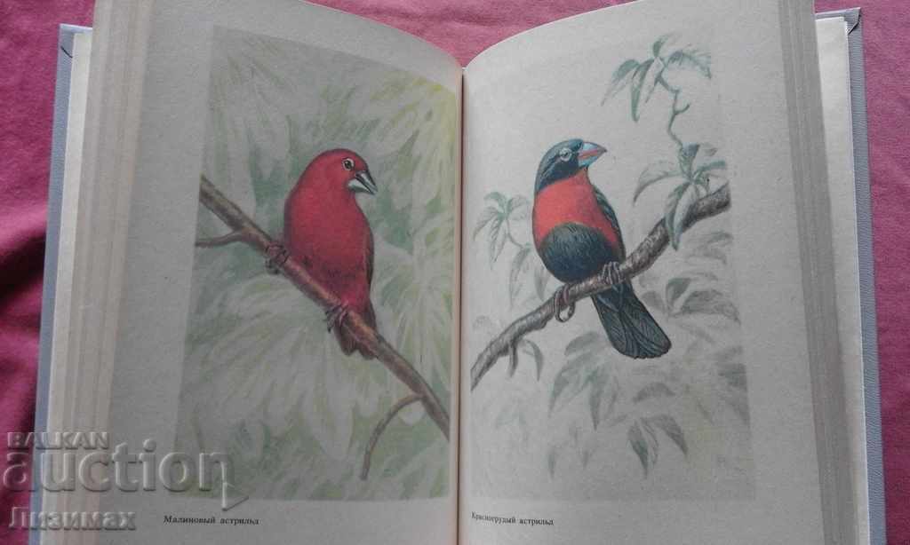 The feathered rainbow is Eduard Sergeevich Zherdev - 7 The feathered rainbow is Eduard Sergeevich Zherdev - 7