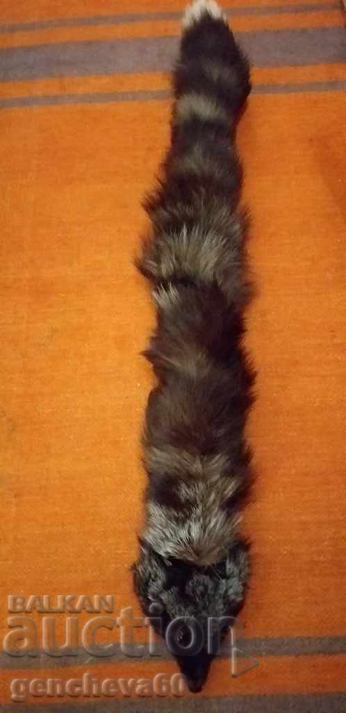 Natural silver fox fur collar - 5 Natural silver fox fur collar - 5