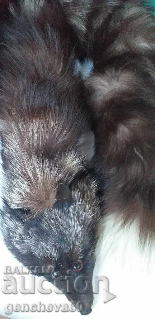 Natural silver fox fur collar - 6 Natural silver fox fur collar - 6