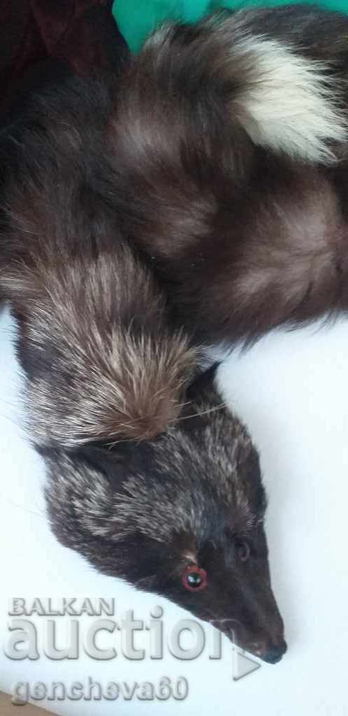 Natural silver fox fur collar Natural silver fox fur collar