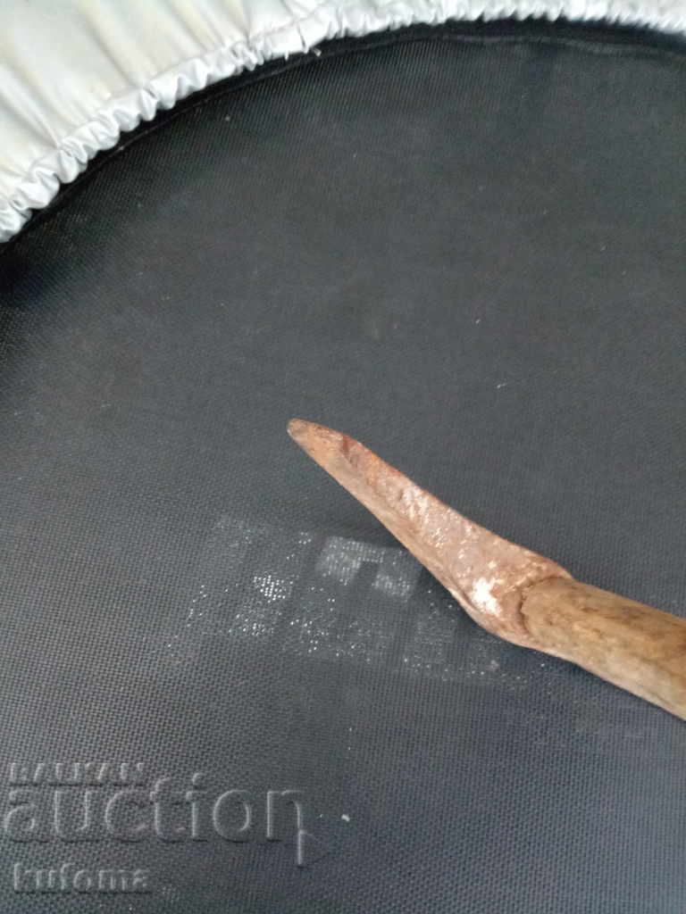 Auction An old macaque Auction An old macaque