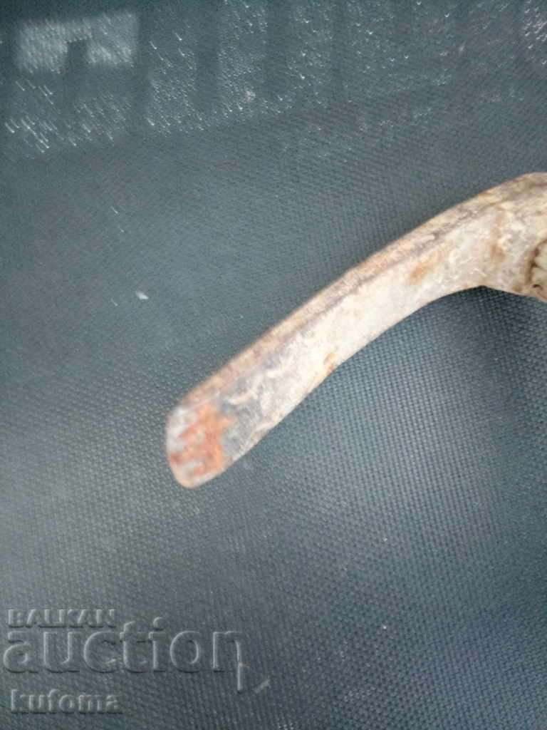 Delivery of An old macaque Delivery of An old macaque