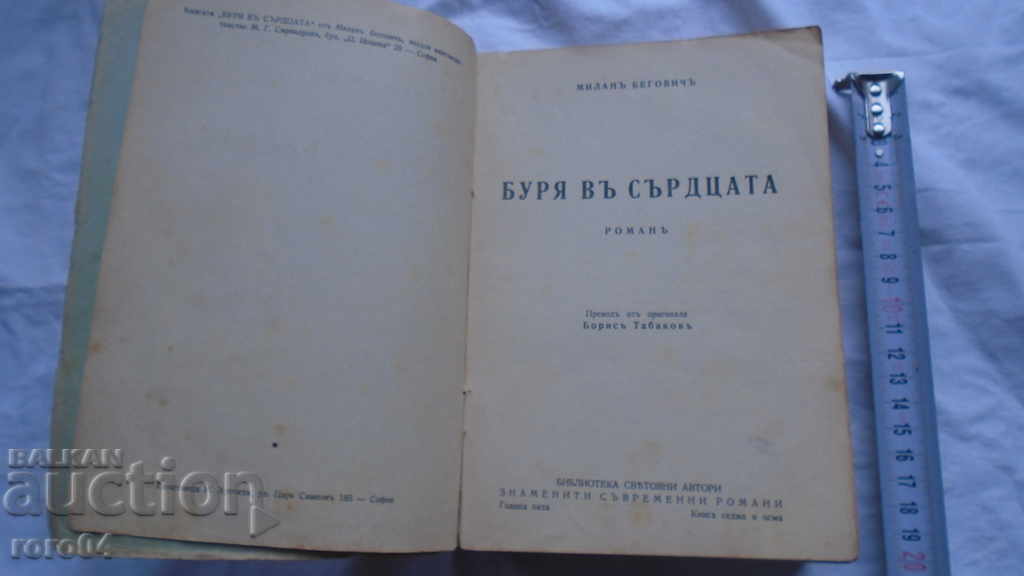 Auction  STORM IN THE HEARTS - MILAN BEGOVIC