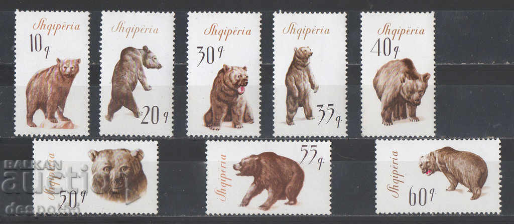 1965. Αλβανία. Καφέ αρκούδα.