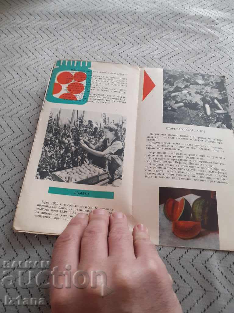 Old brochure Bulgaria Country of vegetables with price 15.00 BGN | € 7.67 Old brochure Bulgaria Country of vegetables with price 15.00 BGN | € 7.67