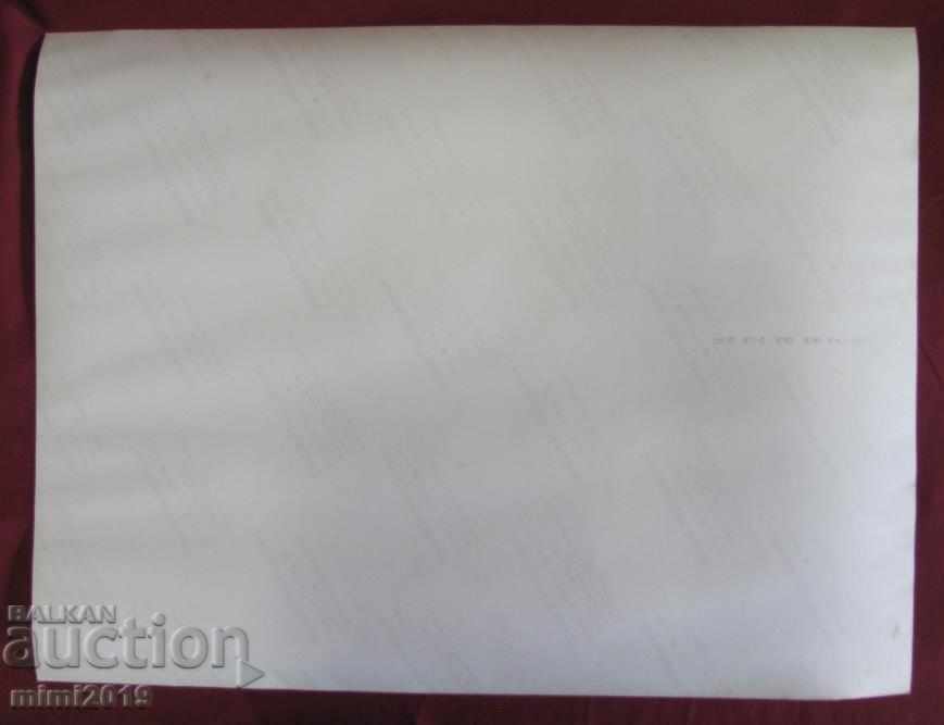 Real Photo The Last Toreadors in Palma de Mallorca - 5