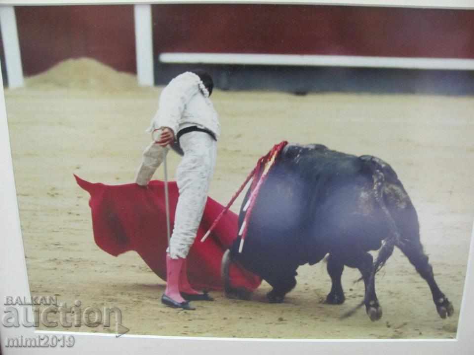 Real Photo Toreador Palma de Mallorca with price 400.00 BGN | € 204.52 Real Photo Toreador Palma de Mallorca with price 400.00 BGN | € 204.52