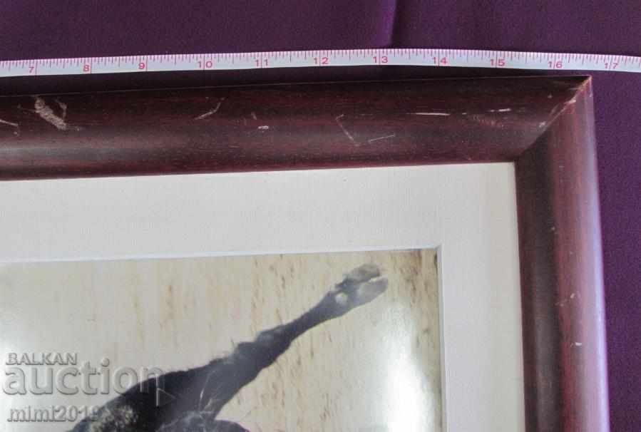 Real Photo Toreador Palma de Mallorca - 5 Real Photo Toreador Palma de Mallorca - 5