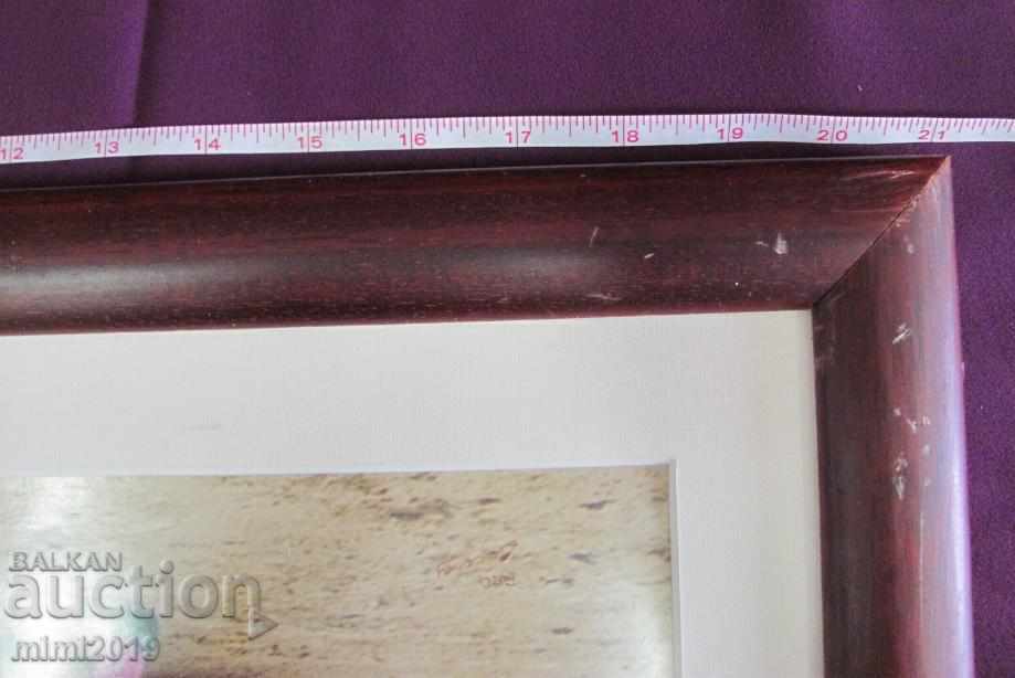 Real Photo Toreador Palma de Mallorca - 6 Real Photo Toreador Palma de Mallorca - 6