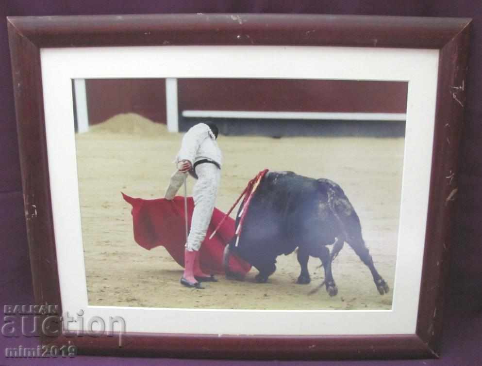 Real Photo Toreador Palma de Mallorca - 7 Real Photo Toreador Palma de Mallorca - 7