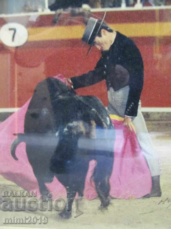 Auction Real Photo Toreador Palma de Mallorca Auction Real Photo Toreador Palma de Mallorca