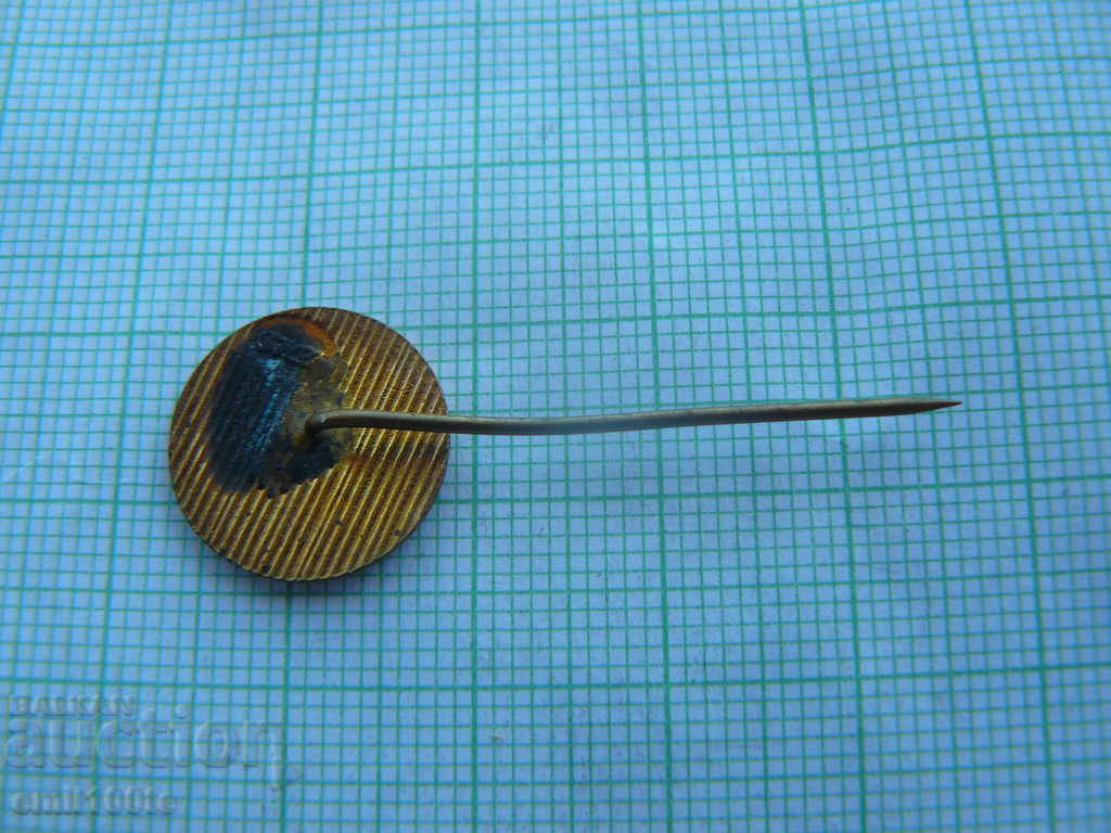 Badge - ZhSK - 5 Badge - ZhSK - 5