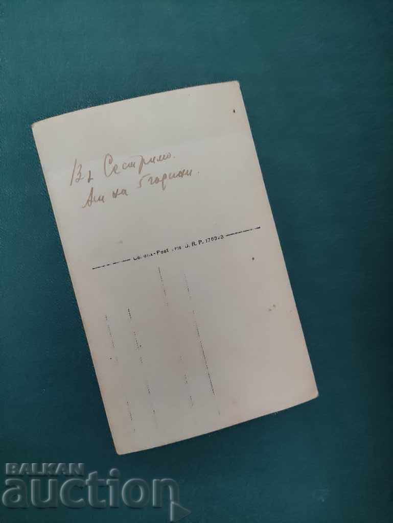 Sister - a child on a tree with price 10.00 BGN | € 5.11 Sister - a child on a tree with price 10.00 BGN | € 5.11