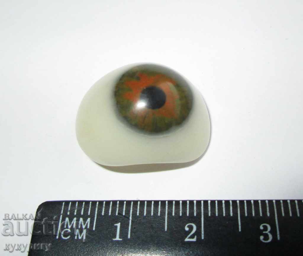 An old human artificial eye medical device with price 70.00 BGN | € 35.79 An old human artificial eye medical device with price 70.00 BGN | € 35.79