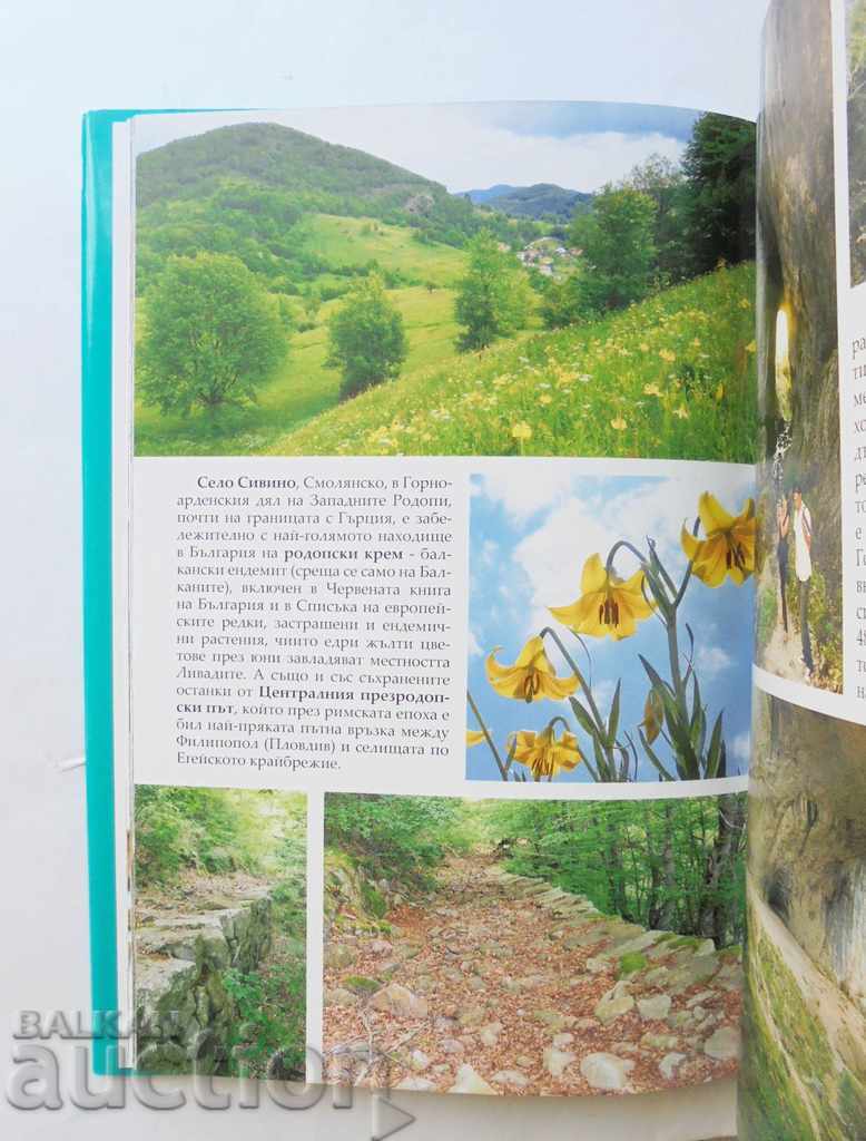 Auction  Discover Bulgaria - Vyara Kandzheva, Antoni Handjiiski 2017