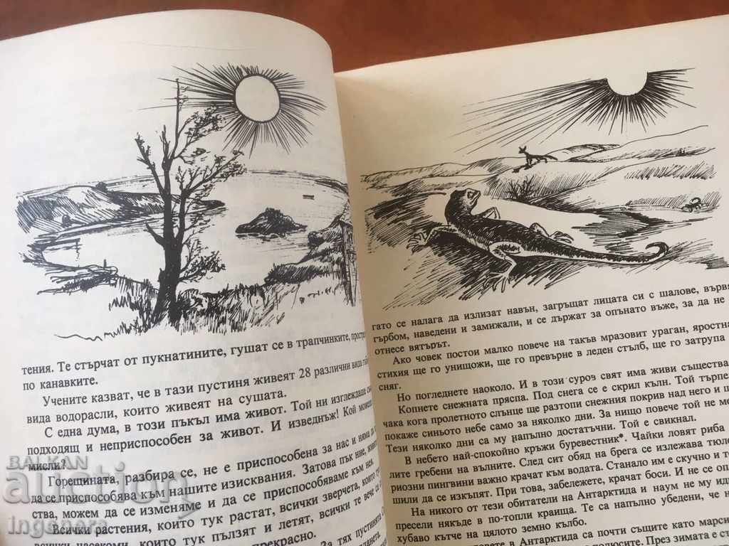 Auction BOOK-MARTIANS CALL YOURSELF-1978 Auction BOOK-MARTIANS CALL YOURSELF-1978