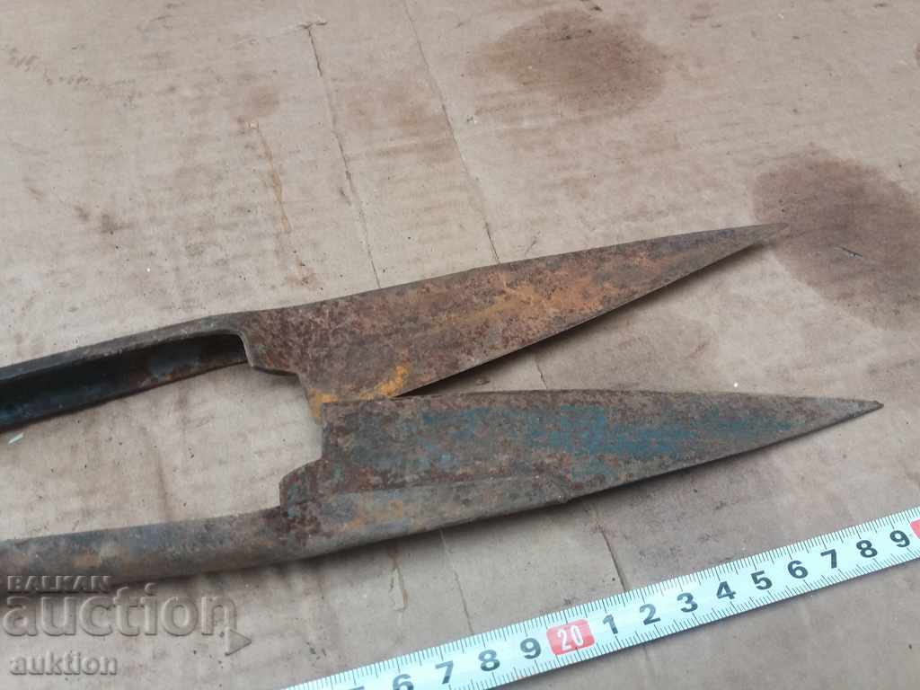 Auction STAR HORSES HANDLE FOR SHEEPING THE SHEEP Auction STAR HORSES HANDLE FOR SHEEPING THE SHEEP