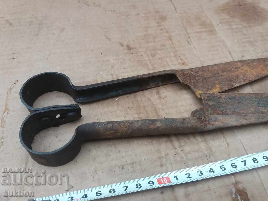 Delivery of STAR HORSES HANDLE FOR SHEEPING THE SHEEP Delivery of STAR HORSES HANDLE FOR SHEEPING THE SHEEP