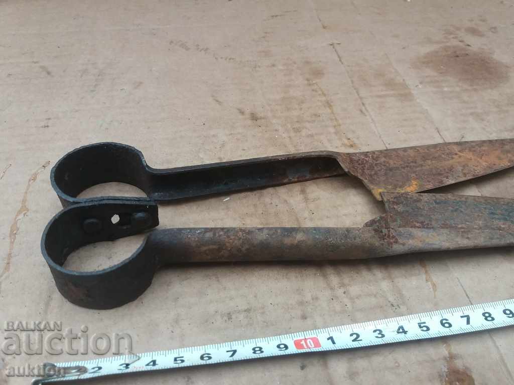 STAR HORSES HANDLE FOR SHEEPING THE SHEEP - 5 STAR HORSES HANDLE FOR SHEEPING THE SHEEP - 5