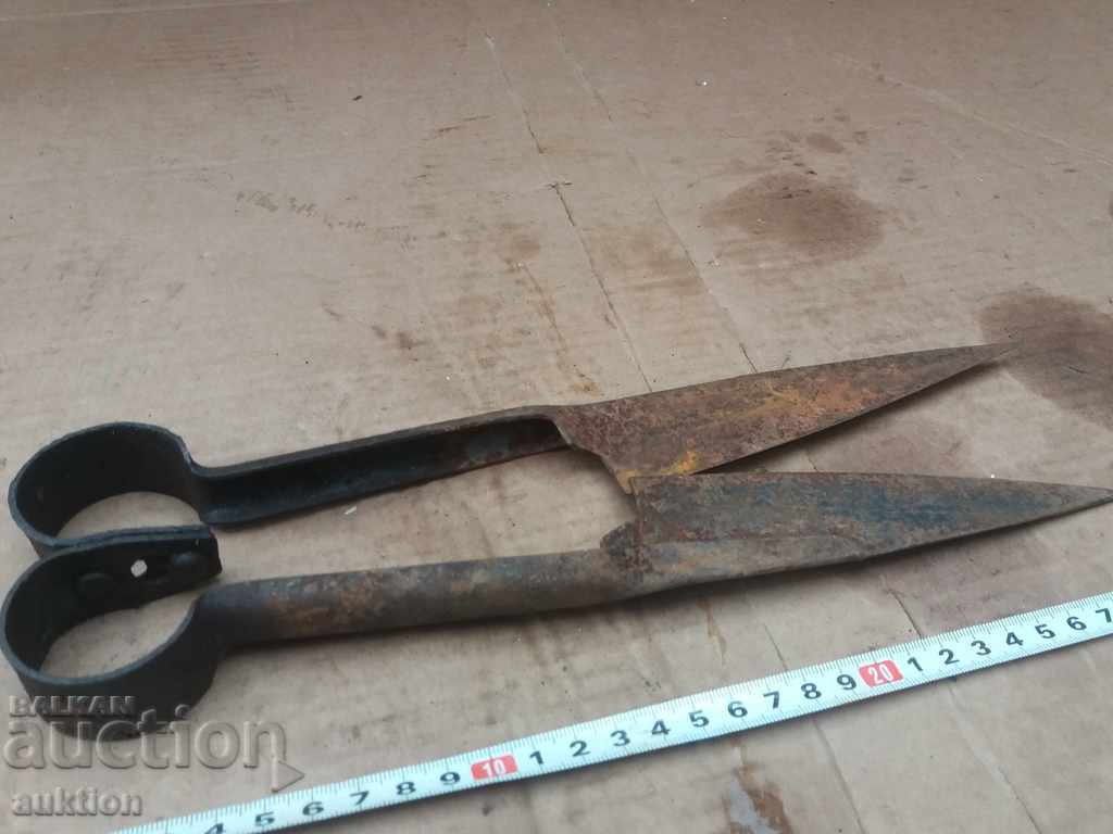 STAR HORSES HANDLE FOR SHEEPING THE SHEEP - 6 STAR HORSES HANDLE FOR SHEEPING THE SHEEP - 6