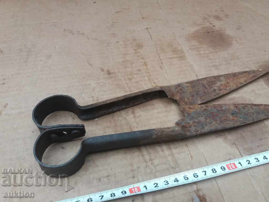 STAR HORSES HANDLE FOR SHEEPING THE SHEEP - 7 STAR HORSES HANDLE FOR SHEEPING THE SHEEP - 7