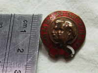 Badge Union of the Bulgarian-Soviet State enamel bronze