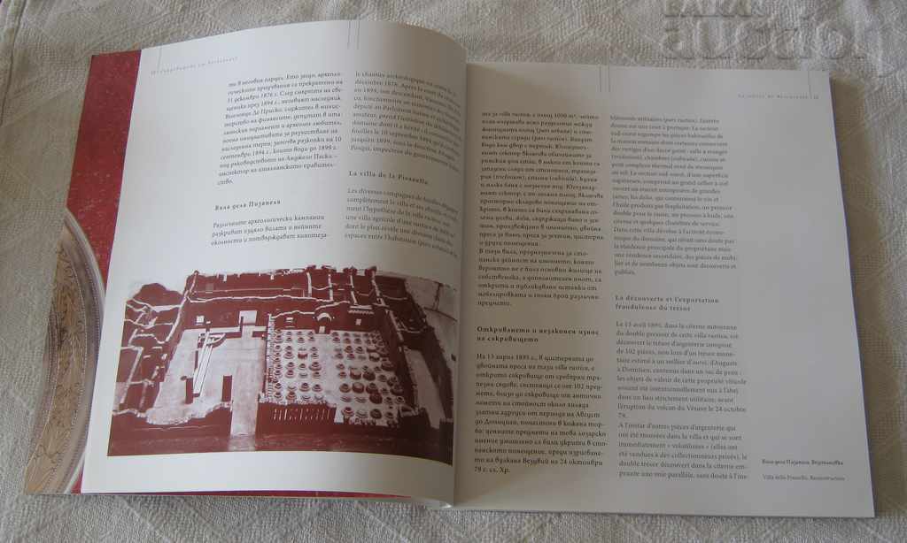 SILVER FROM THE LOUVRE BOSCOREALE 2015 with price 36.00 BGN | € 18.41