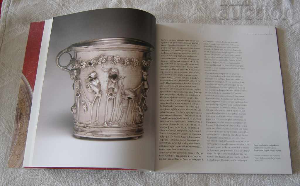 Delivery of SILVER FROM THE LOUVRE BOSCOREALE 2015