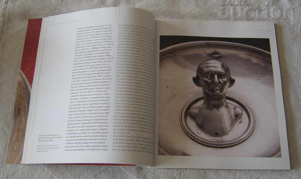 SILVER FROM THE LOUVRE BOSCOREALE 2015 - 5