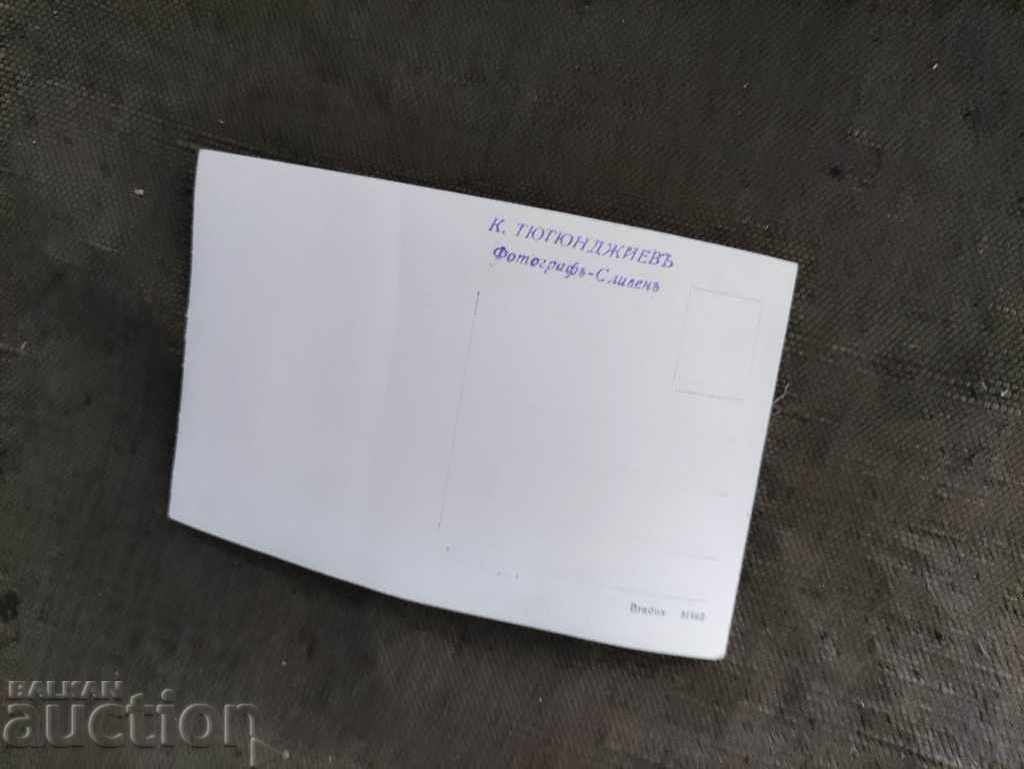 Newlyweds photo by K. Tyutyundzhieva Sliven with price 15.00 BGN | € 7.67