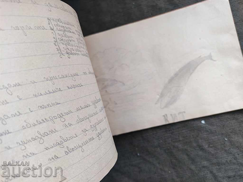 Notebook Great Bulgaria - 6 Notebook Great Bulgaria - 6