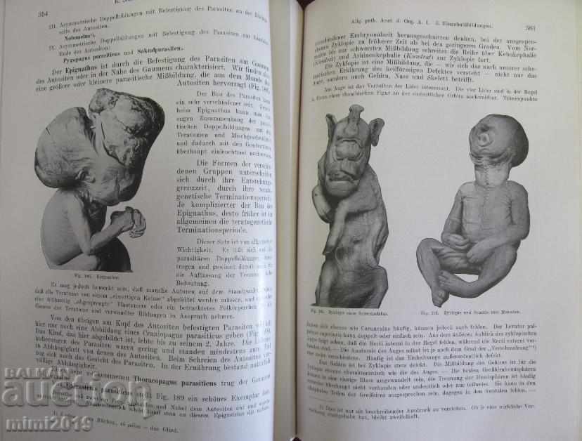 1923 Medical Book Pathological Anatomy Vienna - 5 1923 Medical Book Pathological Anatomy Vienna - 5