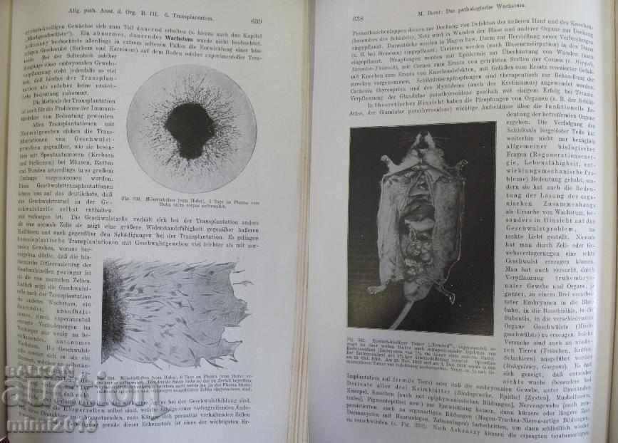 1923 Medical Book Pathological Anatomy Vienna - 6 1923 Medical Book Pathological Anatomy Vienna - 6