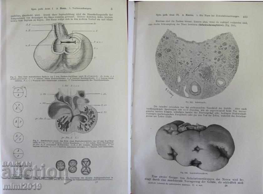 Delivery of 1923 Medical Book Pathological Anatomy Volume 2 Vienna Delivery of 1923 Medical Book Pathological Anatomy Volume 2 Vienna