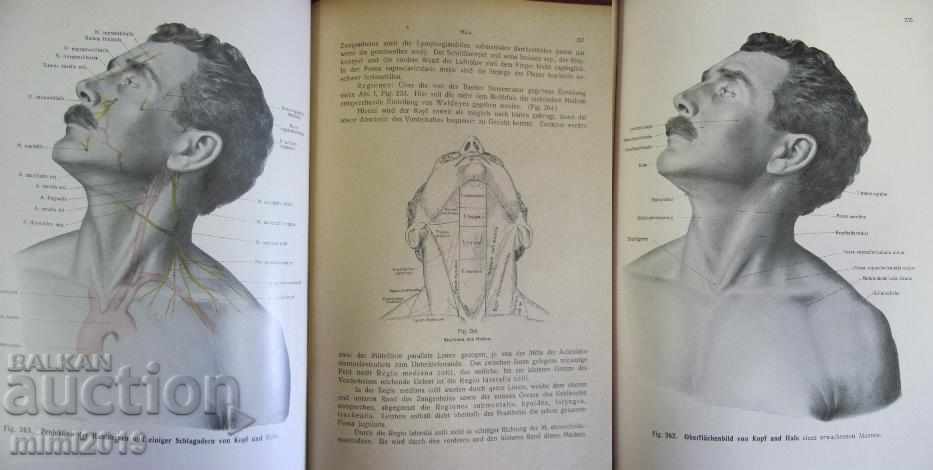 1920 Medical Book Anatomy - 5 1920 Medical Book Anatomy - 5