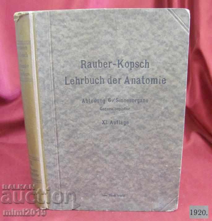 1920г. Медицинска Книга Анатомия