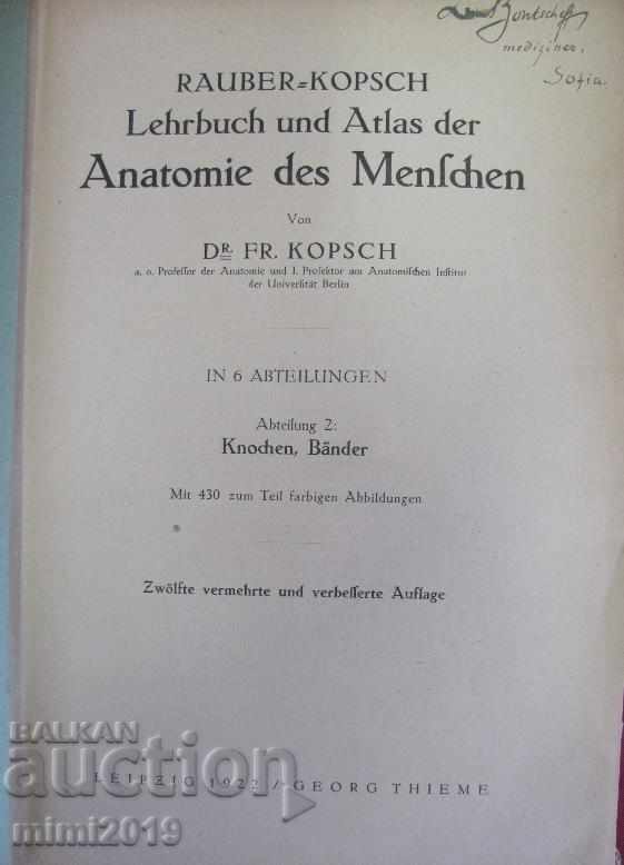 1922 Medical Book Anatomy Germany with price 150.00 BGN | € 76.69 1922 Medical Book Anatomy Germany with price 150.00 BGN | € 76.69
