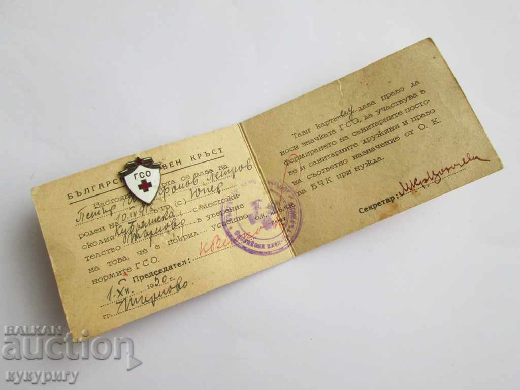 GSO Sanitary Defense Badge Red Cross badge with document - 5