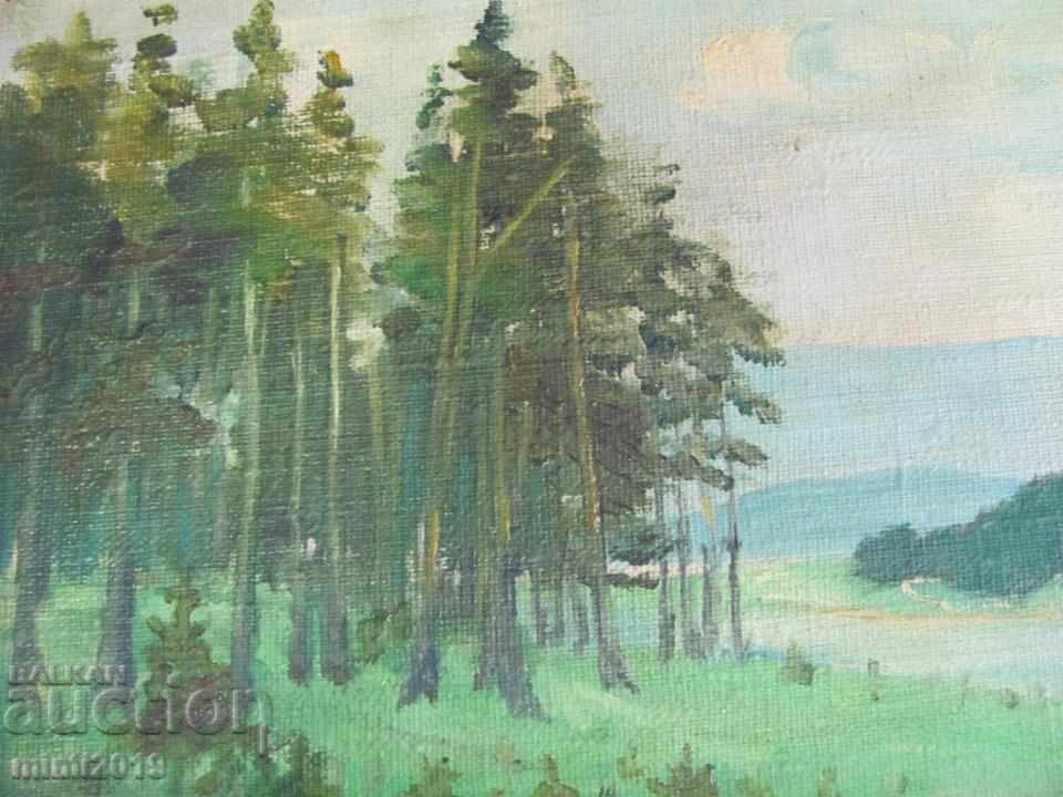 Παλιά ελαιογραφία σε καμβά 37x27 εκ. - 6 Παλιά ελαιογραφία σε καμβά 37x27 εκ. - 6