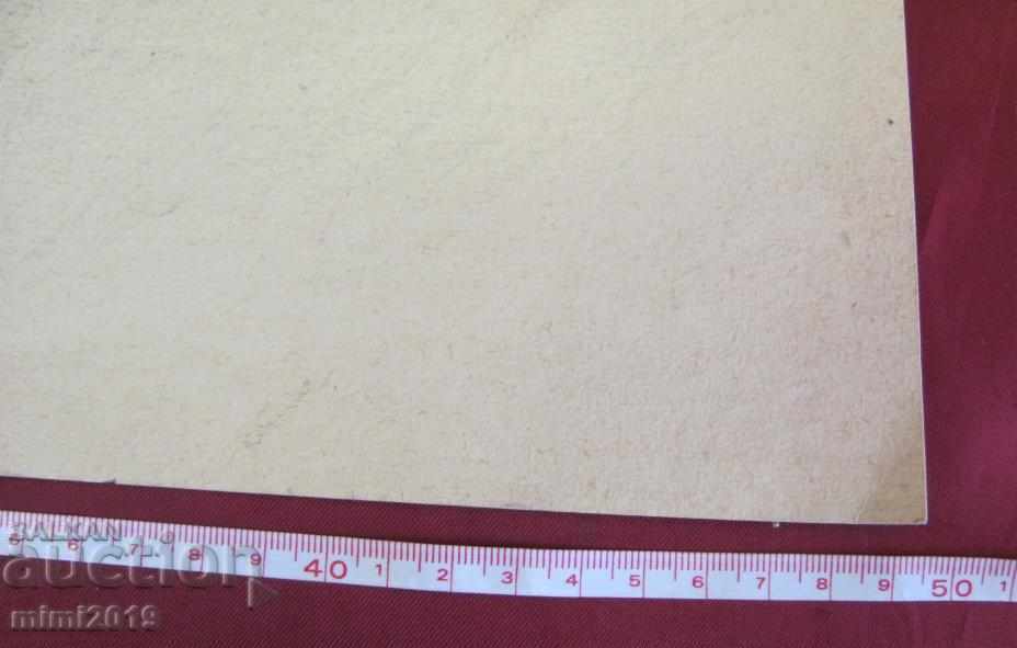 50s Drawing, Portrait of Nikola Baltadjiev pencil on cardboard - 6 50s Drawing, Portrait of Nikola Baltadjiev pencil on cardboard - 6