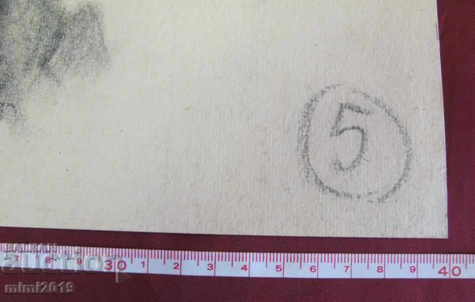 50s Drawing, Portrait of Nikola Baltadjiev pencil on cardboard - 7 50s Drawing, Portrait of Nikola Baltadjiev pencil on cardboard - 7