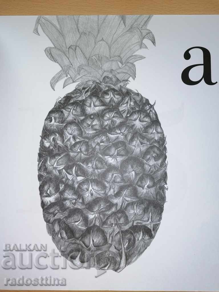 Alphabet for children and adults Irina Karakehayova with price 3.00 BGN | € 1.53 Alphabet for children and adults Irina Karakehayova with price 3.00 BGN | € 1.53