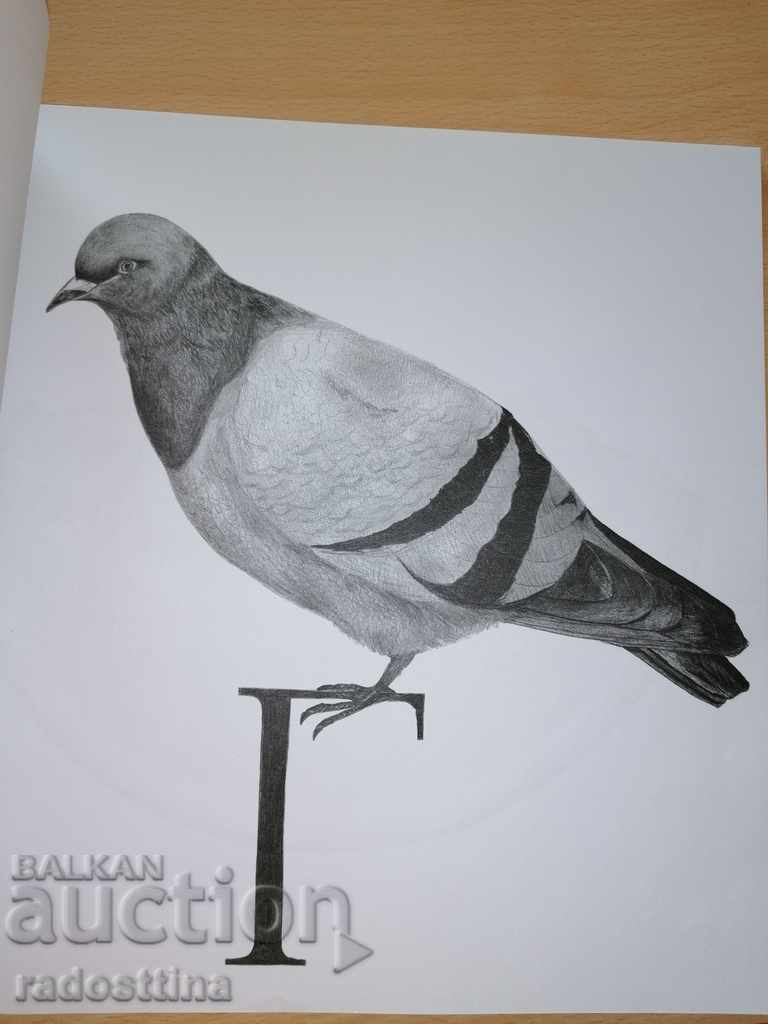 Delivery of Alphabet for children and adults Irina Karakehayova Delivery of Alphabet for children and adults Irina Karakehayova