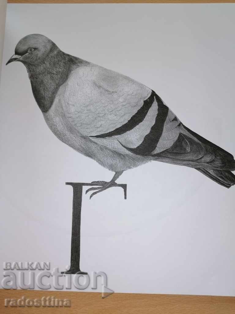 Auction  Alphabet for children and adults Irina Karakehayova